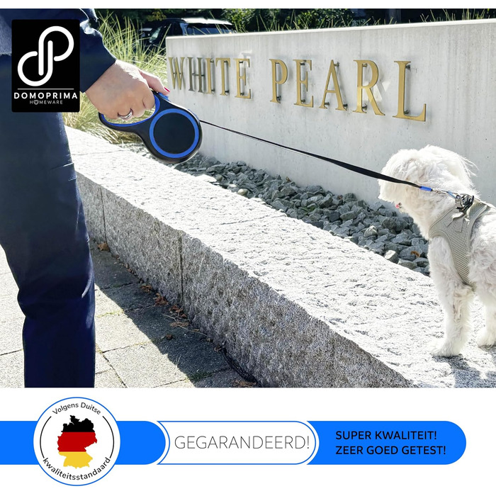 Нашийник для собак Domoprima: міцний, безпечний, з відбиваючим рефлектором, розміри S, M, кольори: сірий, блакитний, зелений, рожевий