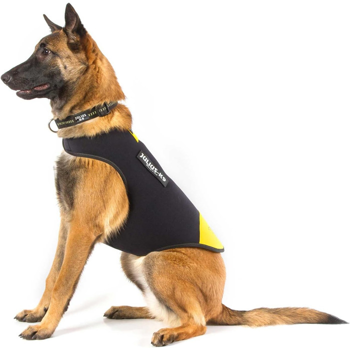 Julius-K9 IDC Неопреновий одяг для собак, розмір L, чорний/жовтий