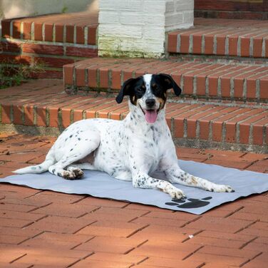 Kühlmatte für Hunde von dobar® - Kühldecke für Hunde & Katzen - Selbstkühlende Matte für Haustiere - 99,5 x 70 cm - Grau