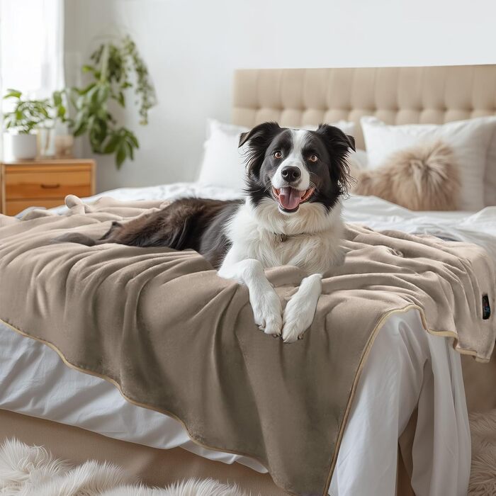 Водонепроникний килимок для собак Luciphia, миючий, для великих та середніх собак та котів, теплий, м'який, з флісу Sherpa, 145 x 165 см, бежевий