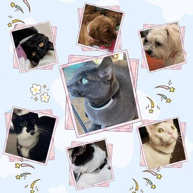 Нашийник для котів ExPawlorer з дзвіночком та стразами, на м'якому оксамиті, регульований, безпечний, для котів та маленьких собак, 2 шт., 9'-12' (Синій та фіолетовий)