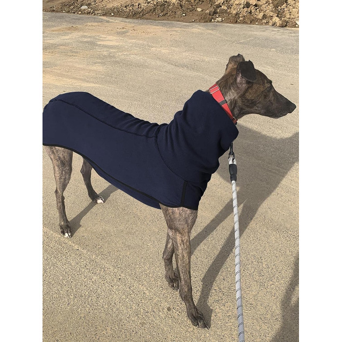 Флісова куртка для собак на зиму: тепла, з високим коміром, зручна, стильна, для маленьких, середніх та великих собак