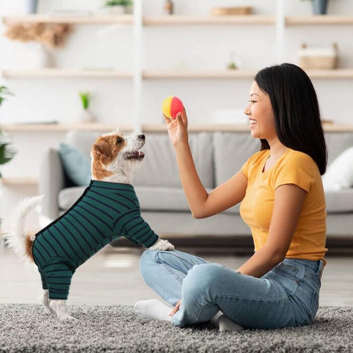 Піжама для собак після операції Kuoser: зручний боді для маленьких та середніх собак та котів (зелений, XS)