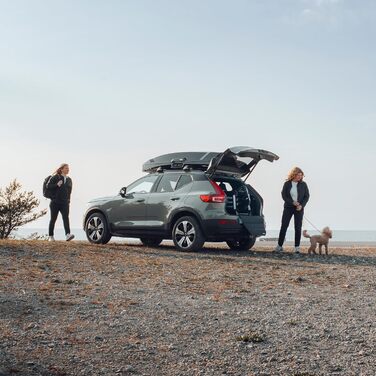 Thule Allax - переносна вольєр для собак, чорний/алюміній, XXL Compact