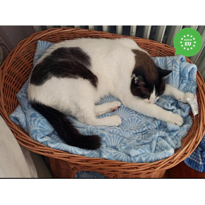 Кошик для котів для сну, котяча хата з лози, двоповерхове ліжко для котів і собак 60 см з м'якою подушкою, натуральний колір
