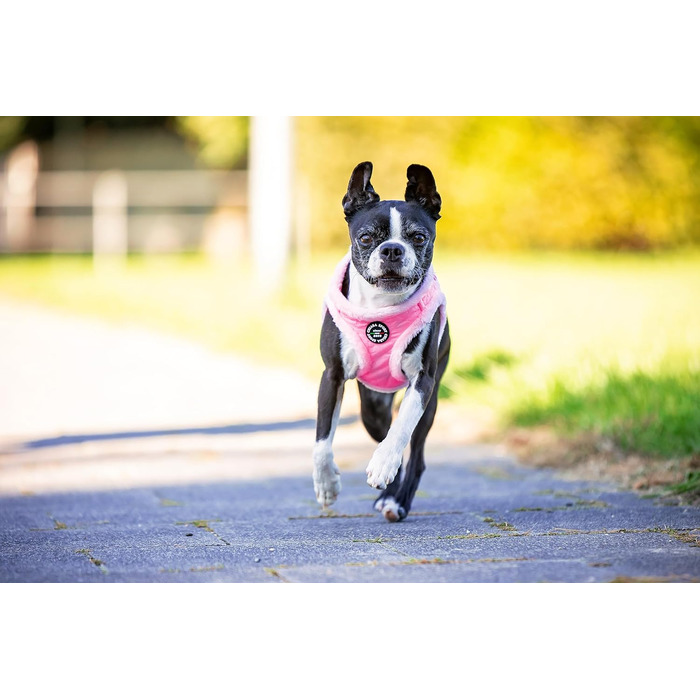 Шлейка для собак CHIARA Soft MIA, розмір XL (м'яка, водонепроникна, регульована, безпечна), колір: Рожевий