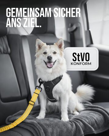 Автогурт для собак 'Argo' – регульований, з амортизацією та ISOFIX, для всіх порід (S, жовтий, 35-45 см)