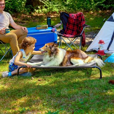 Підняте ліжко для собак Furhaven, графітово-сіре, розмір L, для дому та вулиці