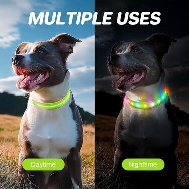 Світлодіодна нашийник для собак Feycig з USB-зарядкою - водонепроникний, регульований, 3 режими, для малих, середніх та великих собак (світло-зелений, L(48-60см))