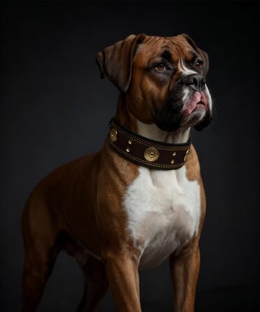 Шкіряний нашийник для собак, 5 см, ручної роботи, преміум якість, для великих та середніх порід, M (53.5-63 см, золотисто-коричневий)