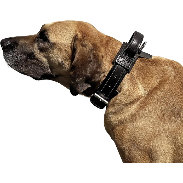 Нашийник для собаки Dingo Gear Drago, амортизуючий, з ручкою, ручна робота, чорний, 48-56 см