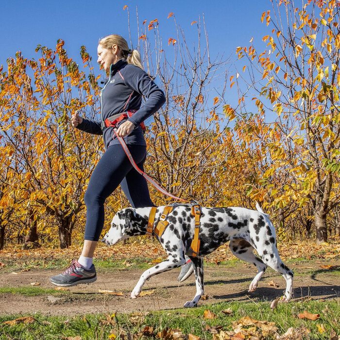 Шлейка для собак Kurgo Journey Air, підходить для бігу та прогулянок, з ручкою для контролю, світловідбиваюча, з м'якою підкладкою (Помаранчевий, Medium)