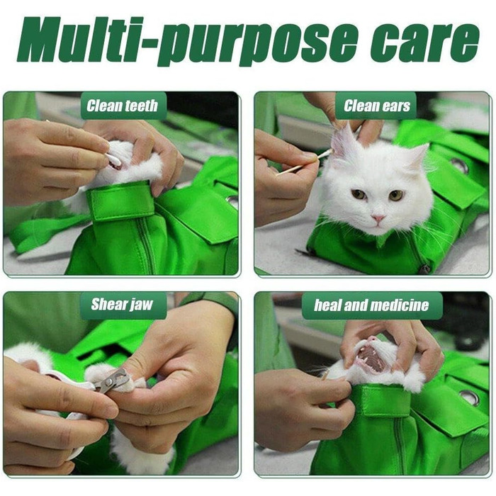 Транслючена сумка-переноска для собак та котів, зелена. Дихаюча, анти-царапин, захист від укусів. Для маленьких та середніх порід.