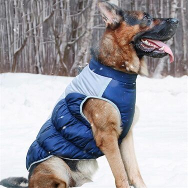 Теплий зимовий одяг для собак: куртка, жилет, бавовна, з підкладкою, для малих, середніх та великих собак (2, 4XL)