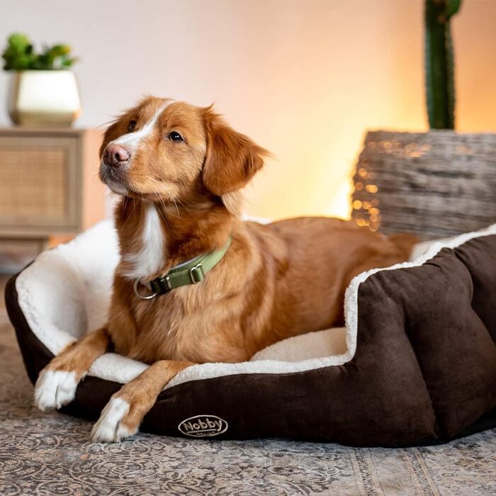 Ліжко для собак Nobby Taika, 66 x 57 x 22 см, коричневе/вовняно-біле, комфортне