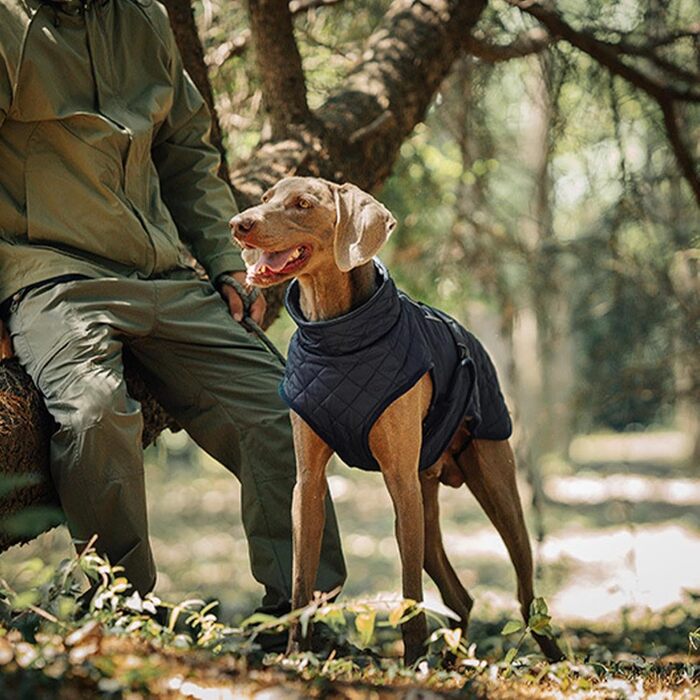Зимовий теплий одяг для собак - Вітростійка жилетка-світловідбивач для собак, теплий зимовий одяг для собак | Для активного відпочинку: походи, пікніки, кемпінг, катання на лижах, прогулянки містом (Темно-синій)