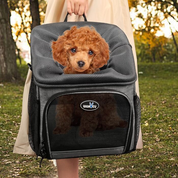 Велосумка для тварин Lixada: переноска-кошик для собак та котів, складна, з сіткою, для малих та середніх порід