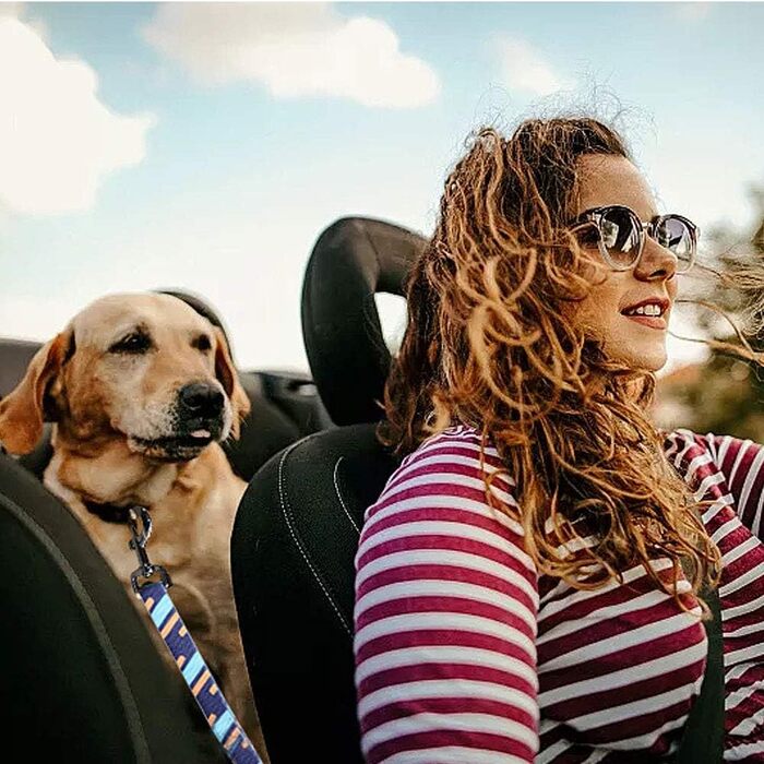 Автогурт для собак AYADA: еластичний, регульований, безпечний, з карабіном (фіолетовий)