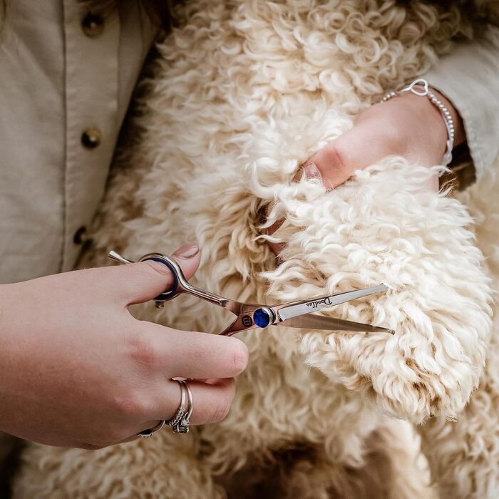 Ножиці для грумінгу собак Mikki Doodle: ножиці для собак та цуценят, 19 см, для обрізки та формування шерсті