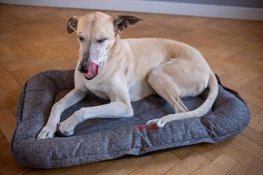 Килимок для собак iEnergy GIS Outdoor - зручний лежак для відпочинку в саду, на природі, в авто та в подорожах