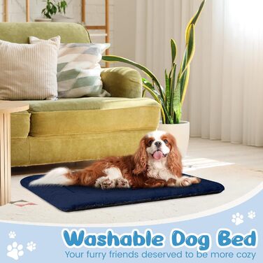 Крісло-ліжко для собак середніх порід Baodan, 90x60 см, миється, з антиковзною основою, блакитне