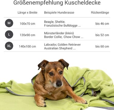 М'яка флісова ковдра для собак Doctor Bark, 100x70 см, зелений колір, Made in Germany. Можна прати до 95°C. Гігієнічна, тепла та зручна ковдра для собак на диван або в ліжечко.