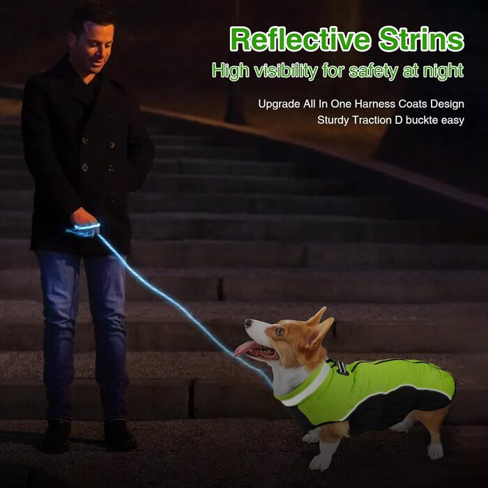 Зимова куртка для собак, водонепроникна, тепла, м'яка, вітрозахисна. З облаштуванням для повідка, світловідбиваюча, з блискавкою та регульованою застібкою. Для малих та середніх собак (Зелений, XL)