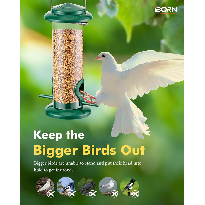 iBorn годівниця для птахів на підвіску, зелена, 2 шт. - металева, стійка до іржі, 20 см