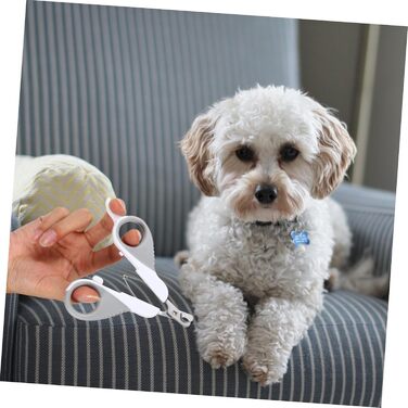 Ножиці для обрізання кігтів домашніх тварин BESPORTBLE - 2 шт. для собак та котів. Якісні, з нержавіючої сталі, для точної гігієни кігтів.