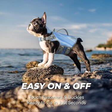 Жилет рятувальний для собак VIVAGLORY Neoprene, блакитний, розмір S (51-56 см)