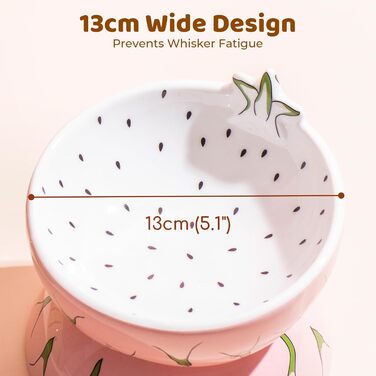 Котло propositions для котів TIGOADT, керамічна миска з дизайном ківі, нахилена годівниця для котів з підставкою, миска для кошенят, що запобігає блювоті, придатна для миття в посудомийній машині (рожева)