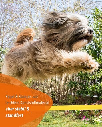 Кегель-бар'єри Sportikel24 для аджиліті – набір бар'єрів для собак, коней та дітей – 50 см