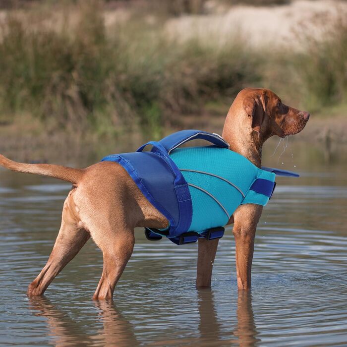 Жилет рятувальний для собак середнього розміру KONVINIT, XS-XXL, блакитний