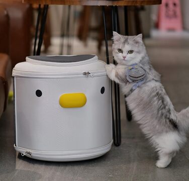 Рюкзак для домашніх тварин: переноска для собак та котів вагою до 15 кг