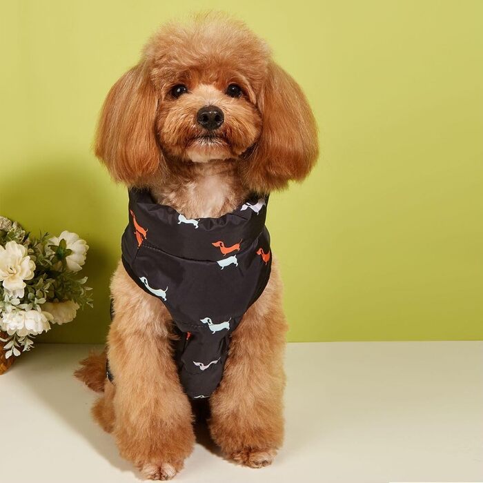 Тепла куртка для собак на зиму від Asmea: чорна, для чихуахуа, такси, S, M. Водонепроникна, з отвором для повідка.