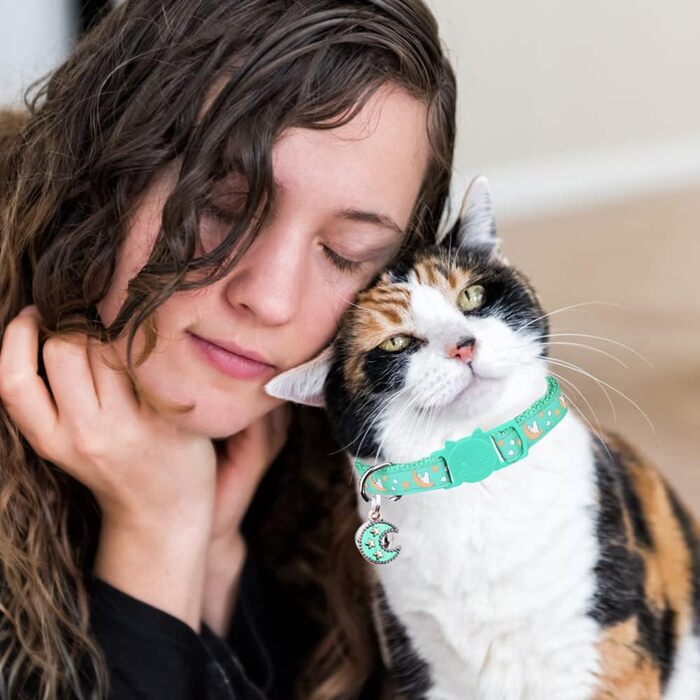 Нашийники для котів з роздільною застібкою, регульовані, з дзвіночком, чорний + синій, 2 шт., 20.3 - 33.3 см