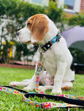 Нашийник для собак Max & Molly Gotcha! з Smart ID: водонепроникний, зручний, з коміксом, ширина 2.5 см