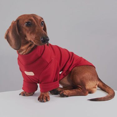 Комбінезон для собак - теплий вишиваний, бавовна, синій, L - для дрібних та середніх порід