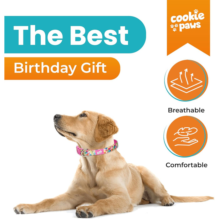 Нашийник і повідець для собак Cookie Paws, нейлоновий, м'який неопрен, з підкладкою, стильний, міцний, тропічний дизайн, розмір L