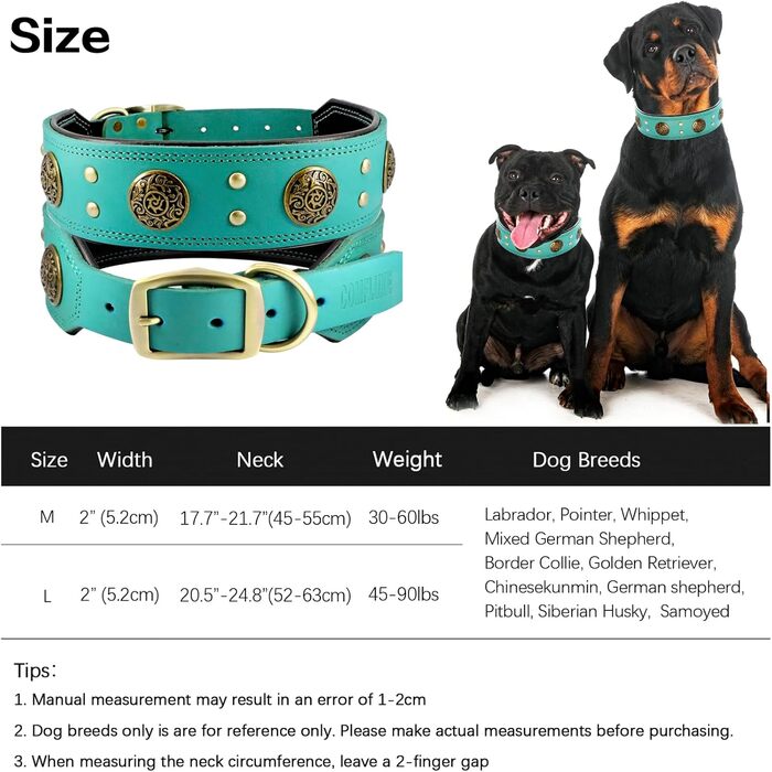 Нашийник для собак середніх порід Comfluxe з екошкіри, 5.1 см, міцний, з металевою застібкою, блакитно-зелений, з дизайном 