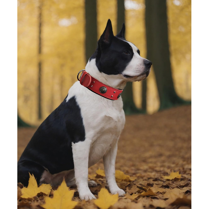 Стильний шкіряний нашийник для собак, ручної роботи, 5 см, червоний, розмір 38-49 см