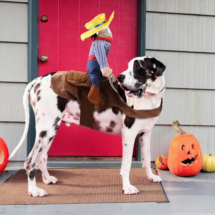 Костюм на Хелловін для собак, стиль ковбой/рейдер, розмір L