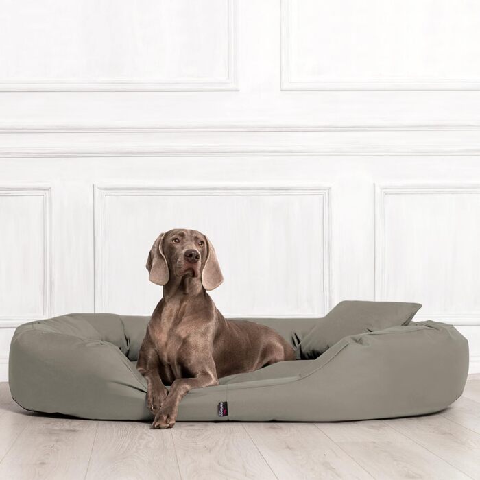 Ортопедичне ліжко для собак Tierlando® Sammy з віскоеластичним матрацом та високим бортиком з міцного поліестеру. Розмір: 140x105 см, колір: (34 Темно-бежевий, 170x110 см (внутрішні розміри: 120x85 см))