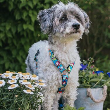Нашийник для собак Max & Molly H-подібної форми, Ultrabequemes Geschirr Hund, Neopren, середні породи, Little Monsters/M, з підкладкою, безпечний, ультралегкий, комфортний для вашого улюбленця