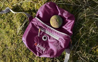 BOGG Універсальна сумка-переноска для собак | Диспенсер для пакетів та контейнер для відходів (Бромбірний кущ)