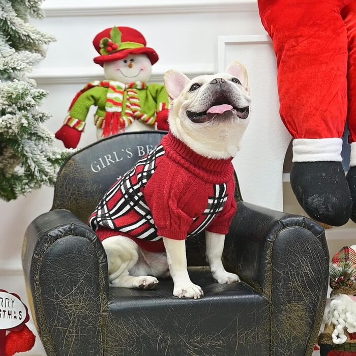 Теплий в'язаний пуловер для собак SCENEREAL з візерунком, м'який пуловер з коміром-горловиною для цуценят, собак маленьких, середніх та великих порід, для осені та зими, червоний, X-Small, однотонний (Getaway Solids)