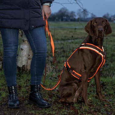 ANNYX Brustgeschirr Protect - захисний жилет для грудей, помаранчевий/коричневий, розмір L