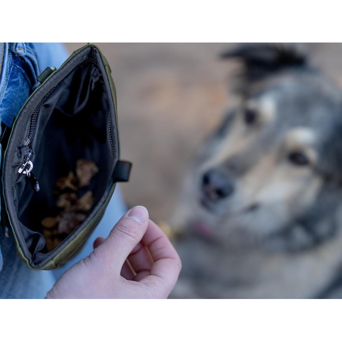 TrendPet Сумка для ласощів для собак, 3 кольори (Оливковий)