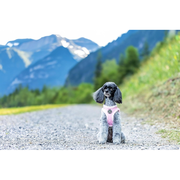 Шлейка для собак CHIARA Soft MIA, розмір XL (м'яка, водонепроникна, регульована, безпечна), колір: Рожевий