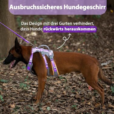 Шлейка Huntboo для собак - антистресова, з ручкою, для малеких, середніх та великих порід (S, M), лавандова